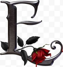 黑色英文字母E红玫瑰