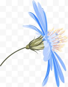 卡通手绘蓝色的鲜花...
