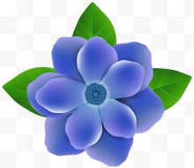 五瓣蓝色小花
