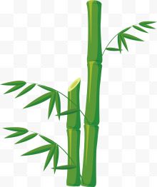 矢量图绿色自然竹子...