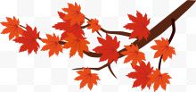 秋季矢量枫叶装饰图案