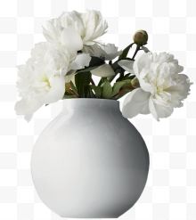 白色牡丹插花