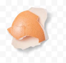 鸡蛋碎壳子的实物