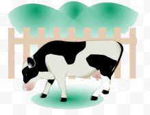 围在栅栏里的奶牛