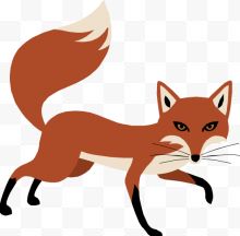 一只红狐