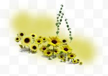手绘黄色向日葵花朵...