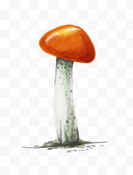 橙色蘑菇