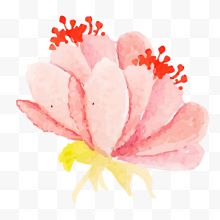 粉红色花朵花蕊手绘水彩花朵设计