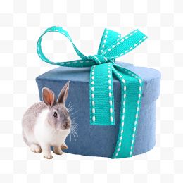 可爱的小兔子和新年礼物...