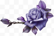 手绘紫色花