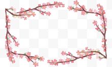 粉红樱花树春天边框...