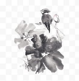 水墨花和鸟