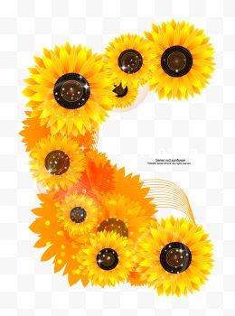 黄色太阳花装饰