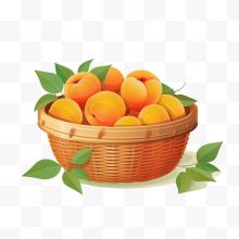 一果篮杏子