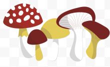 秋季立秋彩色蘑菇