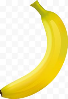 矢量黄色香蕉图