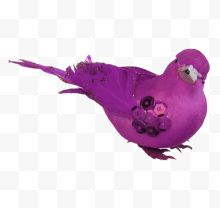 紫色的静静看小鸟