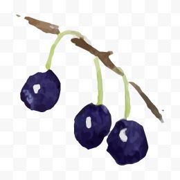 手绘水彩蓝莓浆果