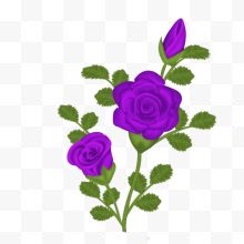 卡通紫色玫瑰花