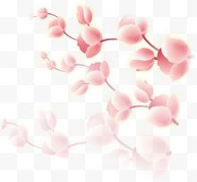 粉色花枝