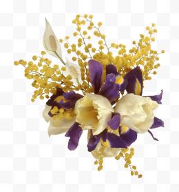 含羞草紫色花朵白色