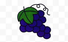手绘紫色葡萄带绿色叶子