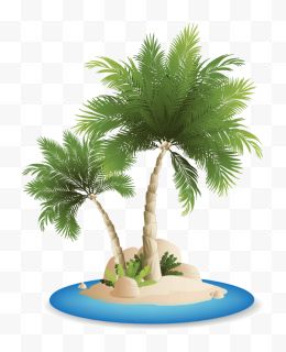 海岛上的大型超大个大棕榈...