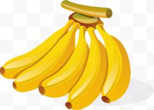 手绘金黄成熟的一串香蕉