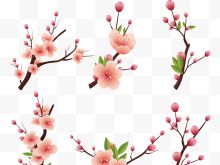 粉色樱花设计文稿图例