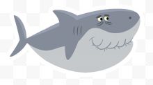 灰色大白鲨