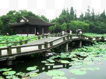 曲院风荷风景区