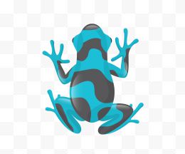 蓝黑色斑纹青蛙背影...