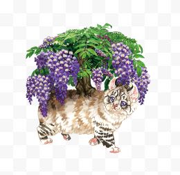 矢量紫藤花和猫