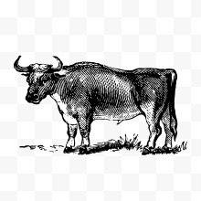 老牛装饰图案