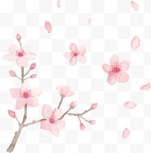 花瓣中式艺术插花