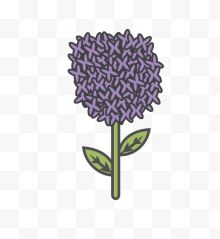 一簇紫色花球