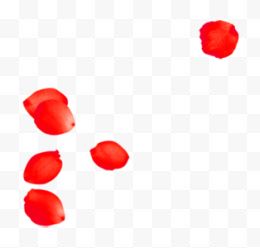红色漂浮玫瑰花瓣装饰电商