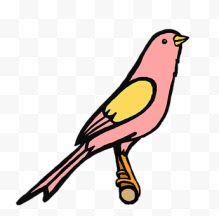 站在枝头的粉色小鸟