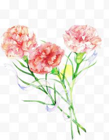 粉玫瑰水彩手绘装饰