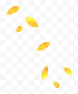叶子漂浮金黄色叶子飘落...