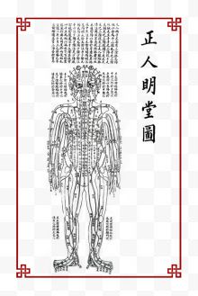 五行人体图