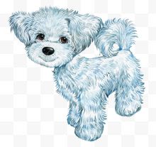 卡通手绘蓝色的小狗