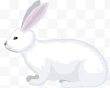 手绘卡通白色玉兔