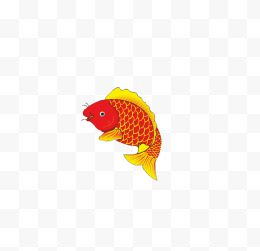 红色的金鱼