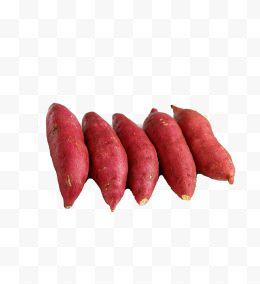 一排红薯
