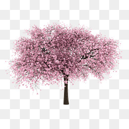 粉色手绘樱花树