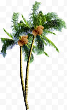 椰子树水彩画夏日海报