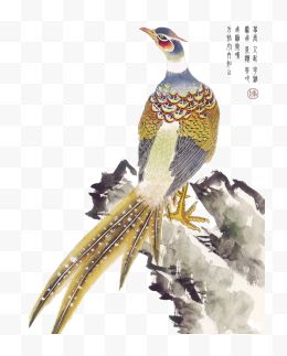 中国工笔画系列花鸟 下48P