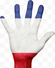 手掌上的迷彩法国国旗...