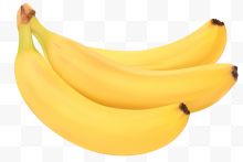 一串黄色香蕉